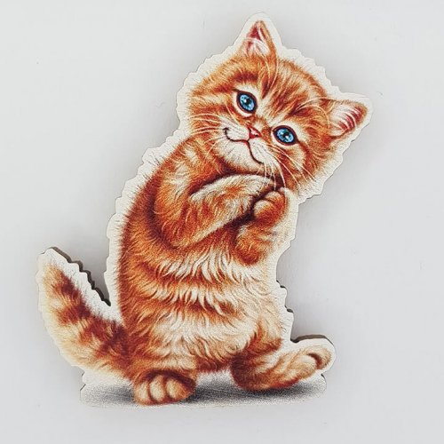 Котик zv5 магніт