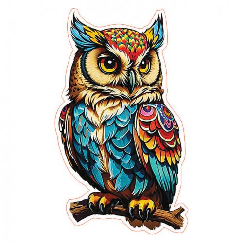 Сова zv87 магніт