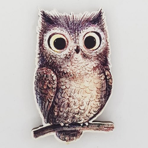 Сова zv38 магніт